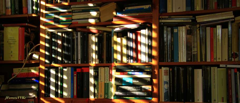 SEr cortés. Foto: Juan FERRERA GIL