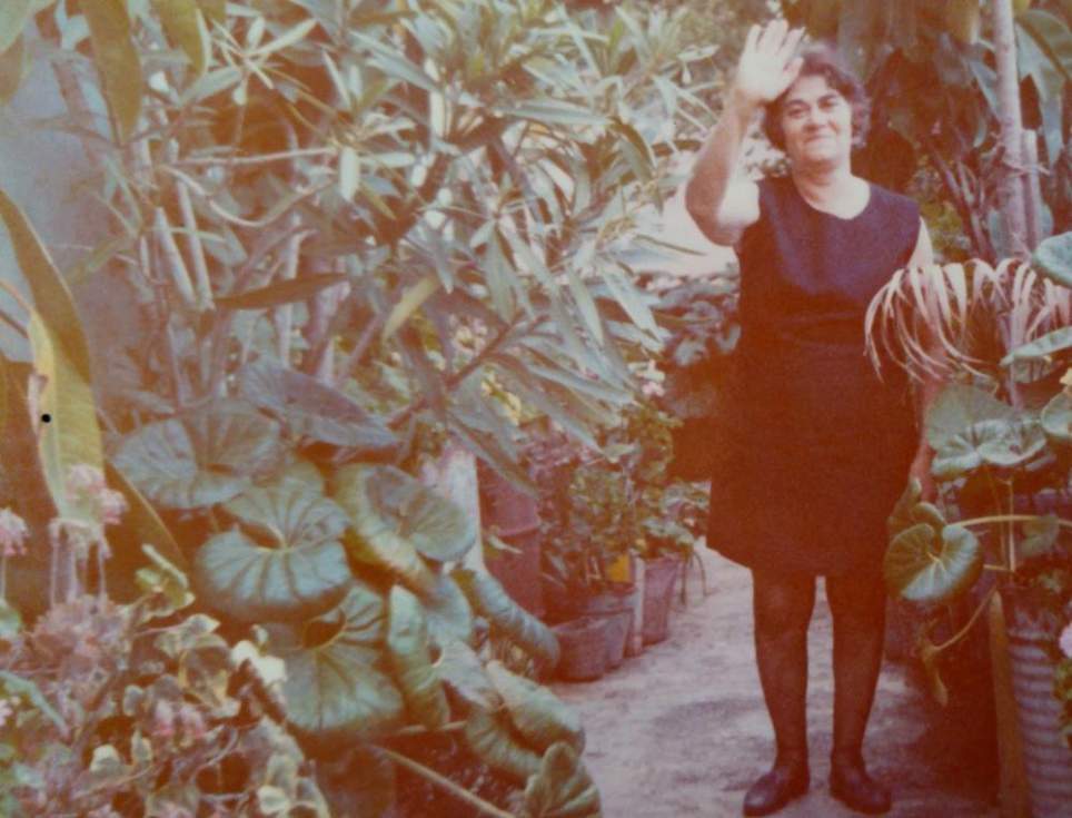 Foto: album familiar