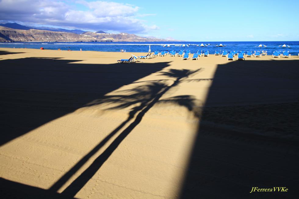 La palmera. Juan FERRERA GIL