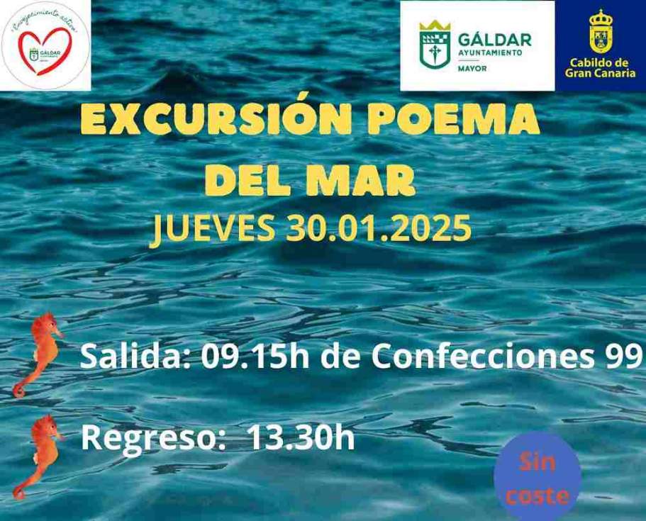 Cartel de la actividad