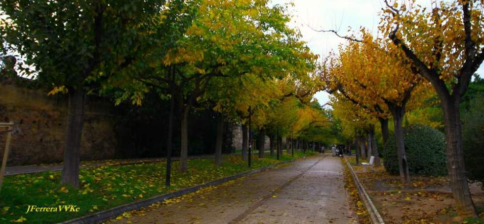 LA BRISA DE LA BAHÍA (265). Otoño