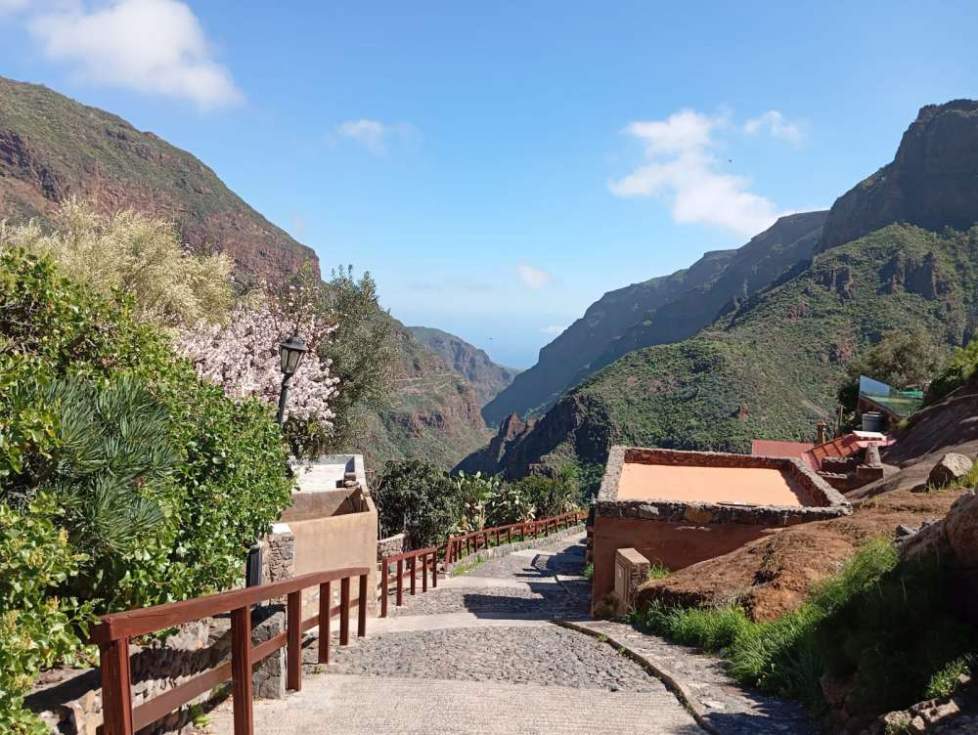 El vaquero de Guayadeque: la leyenda de James Ronald Grant y su burro Safari