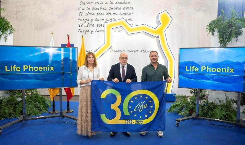 Presentación del proyecto