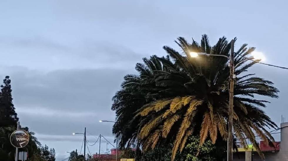 Nuevo alumbrado en Saucillo