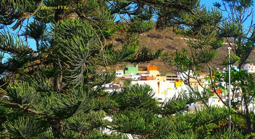 EL Parque Municipal. Juan FERRERA GIL