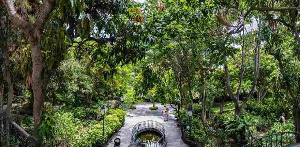 Huerto de las Flores