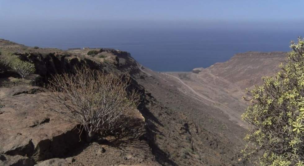 Tabaibales: la rampa del hambre