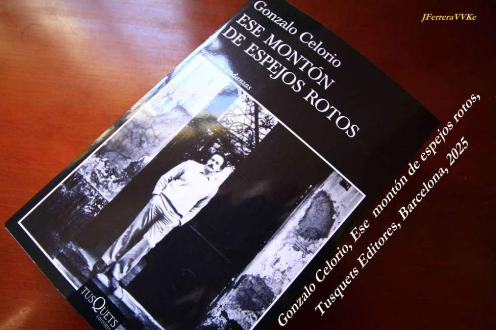 LA BRISA DE LA BAHÍA (272). Ese montón de espejos rotos, de Gonzalo CELORIO