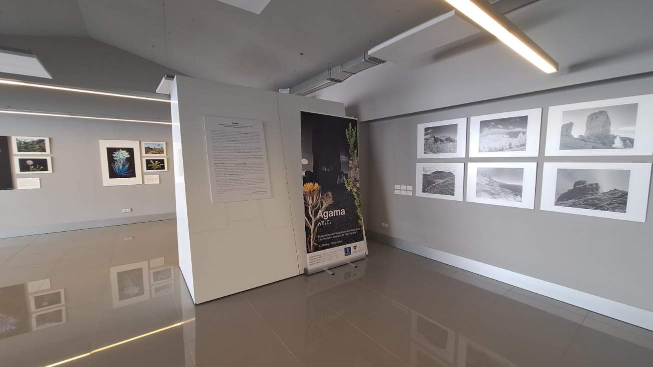La exposición ‘AGAMA’ sobre la etnobotánica del Patrimonio Mundial de Gran Canaria inicia su andadura itinerante en La Aldea de San Nicolás