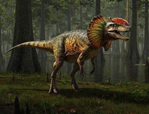 Microrrelatos. Pesadillas