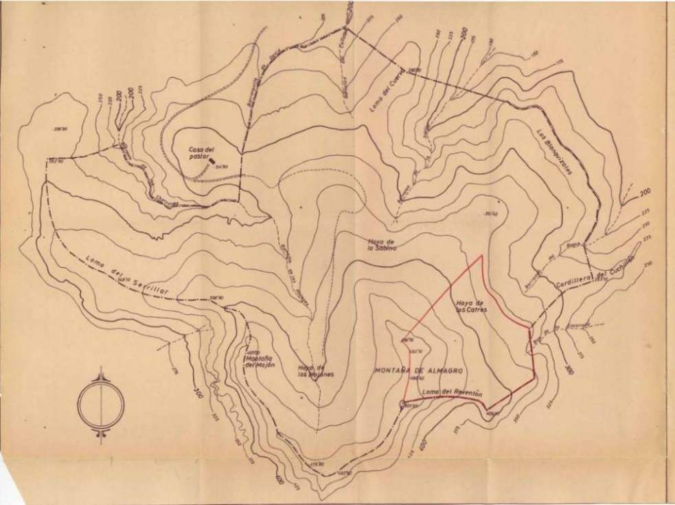 Las repoblaciones vegetales de Amagro: historia de un experimento fallido en Gran Canaria
