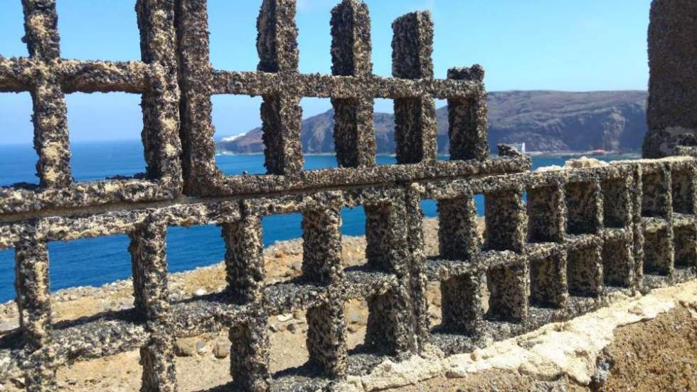 Microrrelatos. Sin banderas