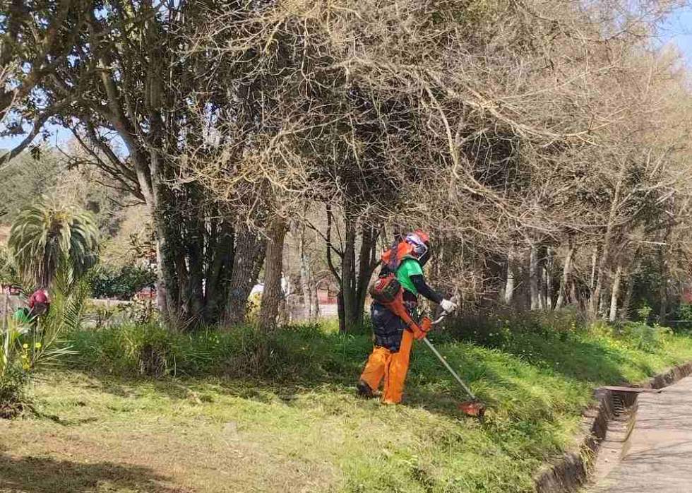 Emplea Verde