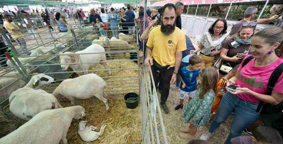 Imagen de la feria