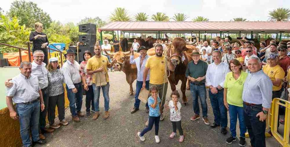 El toro y la vaca del primer premio.