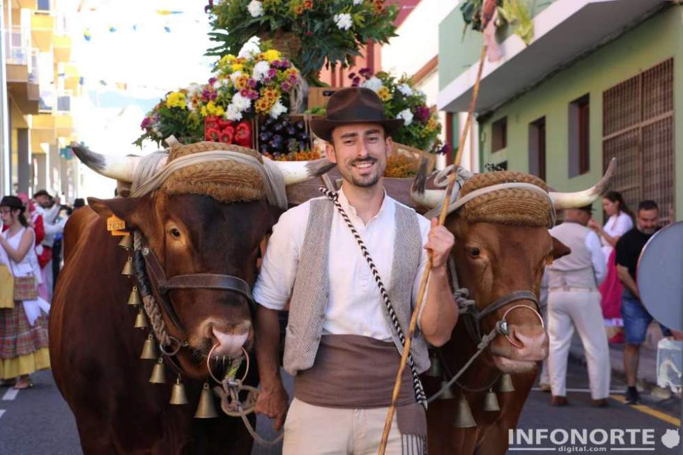 Un año más arranco la romería a San Isidro con la carreta del Excmo. Ayuntamiento de Gáldar