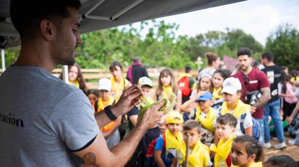 Imagen de las actividades