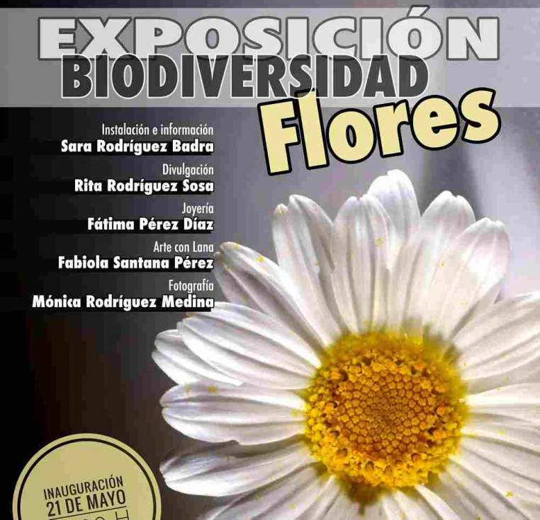 Cartel de la exposici&oacute;n