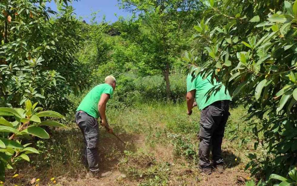 Emplea verde