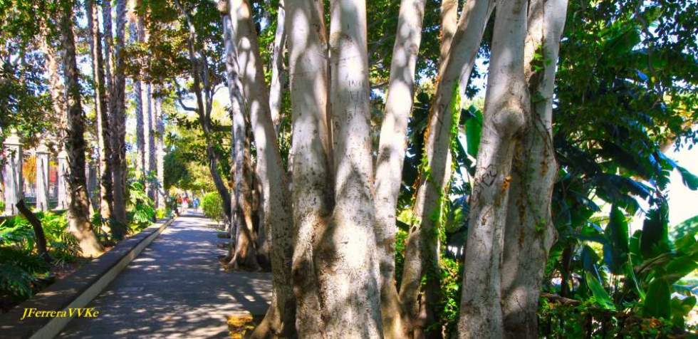 Foto: Juan FERRERA GIL