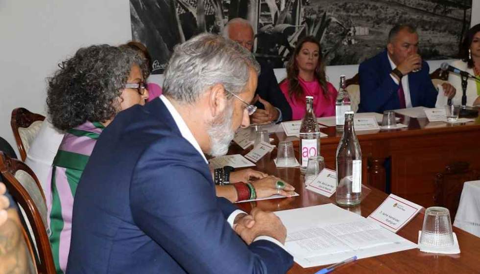 Imagen de archivo de un pleno en Firgas