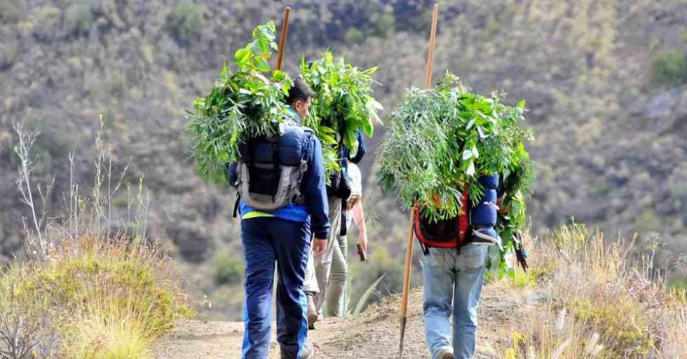 Subir a Tamadaba para tocar el cielo