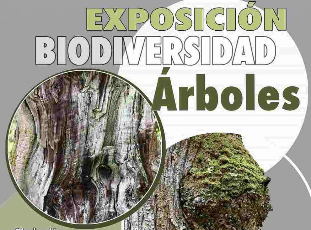 Cartel de la exposición