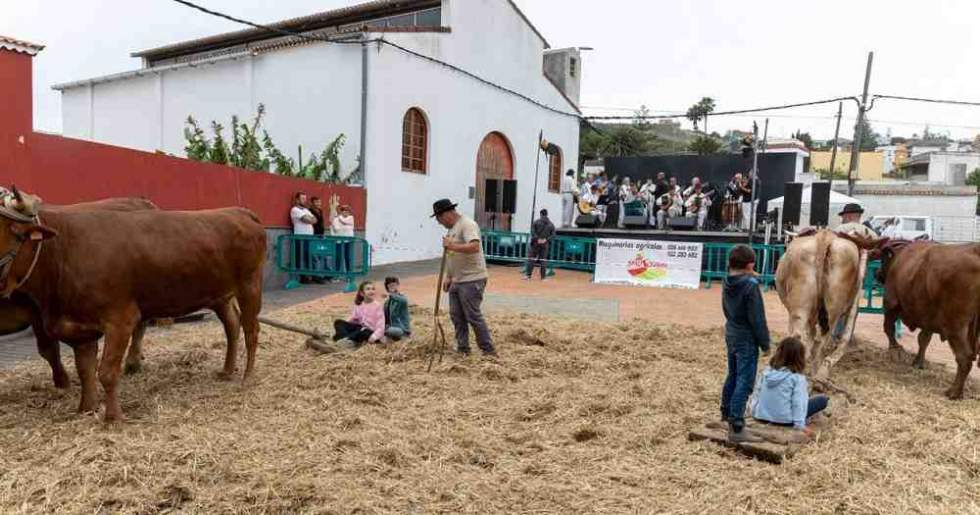 San José del Álamo celebra sus fiestas el fin de semana del 26 al 28 de junio
