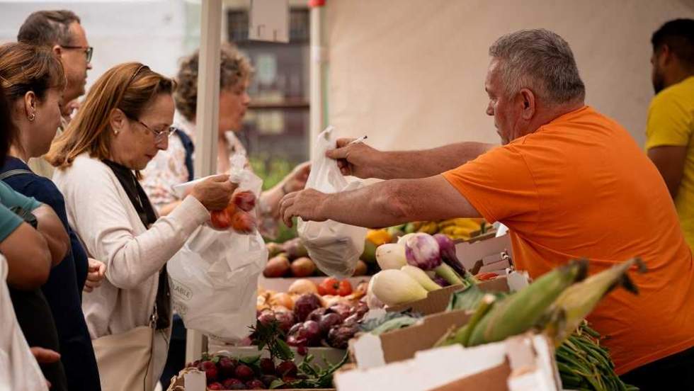 El Mercado Agrícola de Gáldar vuelve a reunir a productores y consumidores en la Plaza de Santiago