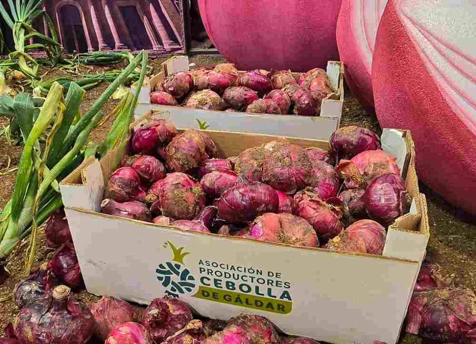 Cebollas de G&aacute;ldar