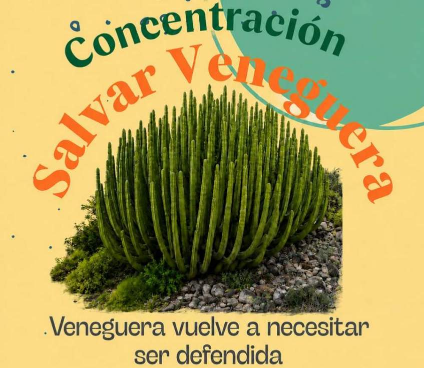 Alarma social por movimientos de tierra en la playa protegida de Veneguera