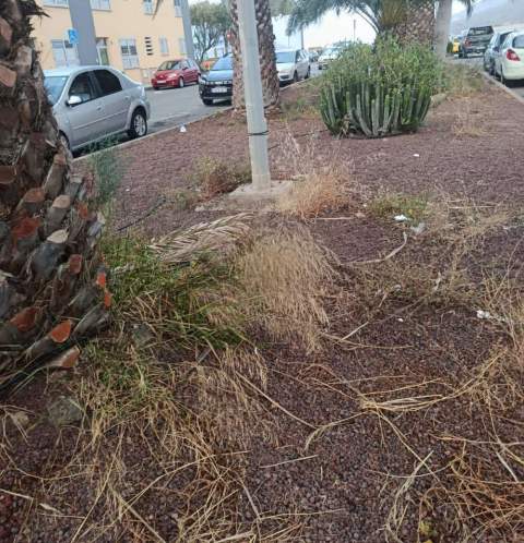 Jardines en Los Quintana