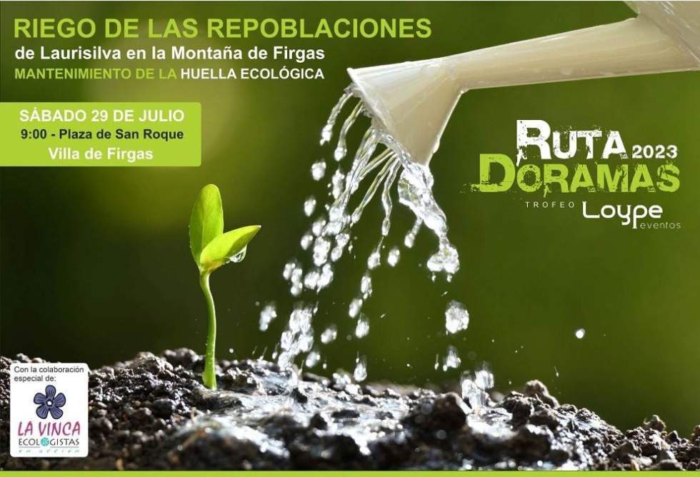 Cartel de la actividad