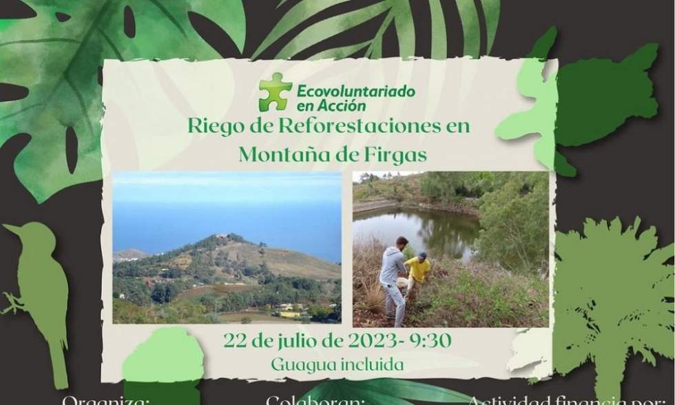 Cartel de la actividad