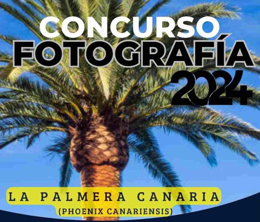 Cartel del concurso