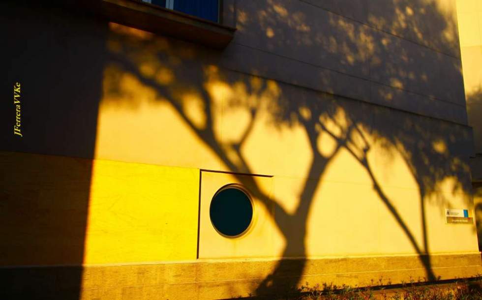 Sombras. Juan FERRERA GIL