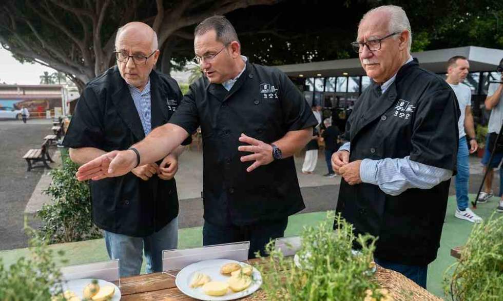 Frita o sancochada: los matices de la variedad Búster destacan en la Cata Insular de Papas del Cabildo de Gran Canaria