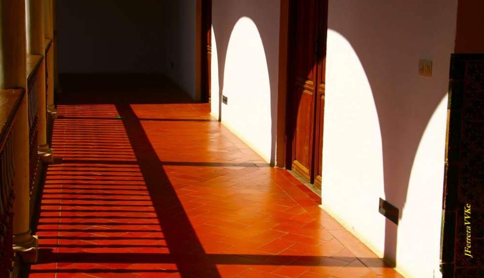 Con un libro entre las manos. Juan FERRERA GIL