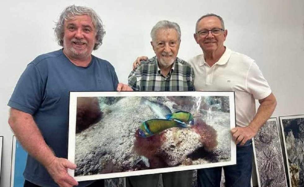 Imagen de la donación