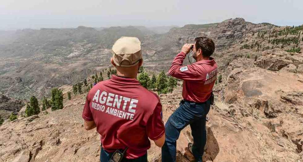 Dos agentes de Medio Ambiente del Cabildo en plena observación.