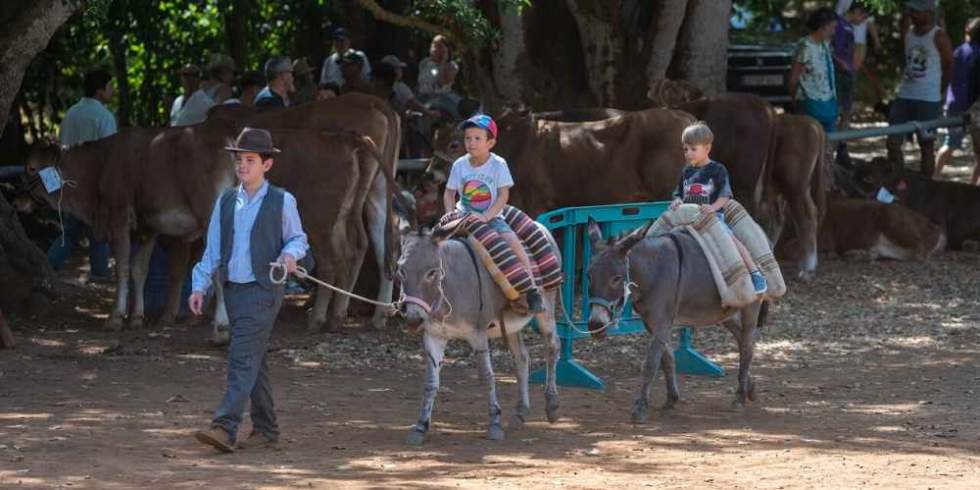 Feria del Pino