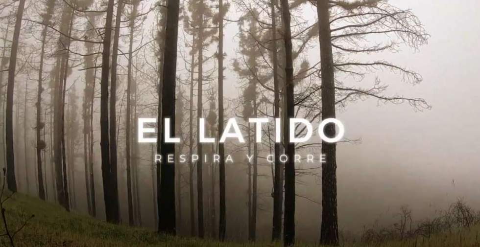 La abundancia que se respira: armonía y sanación en el sendero de la montaña