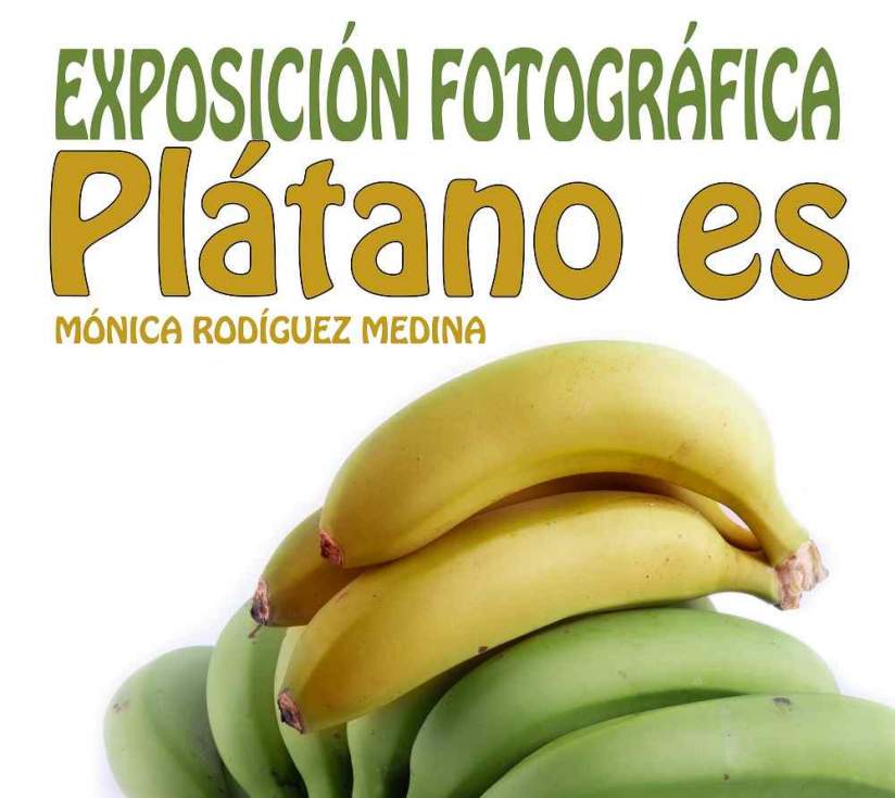 Cartel de la expossición
