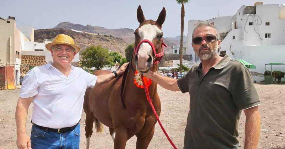 Feria de ganado en La Aldea