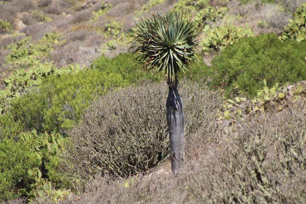 [Img #43238]