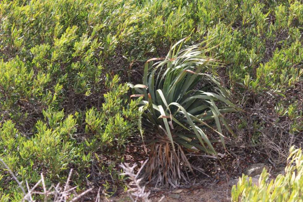 [Img #43235]