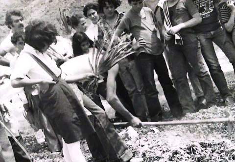 Plantaci&oacute;n a cargo de alumnos del C.P Roque Amagro en 1979.