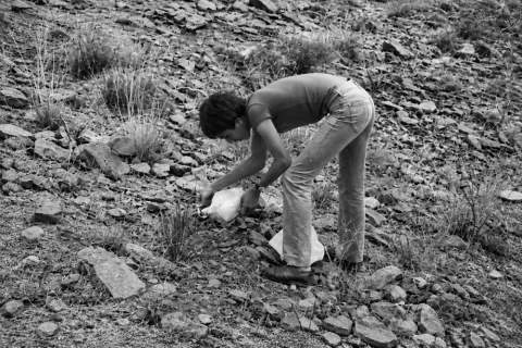 Plantaci&oacute;n a cargo de alumnos del C.P Roque Amagro en 1979.