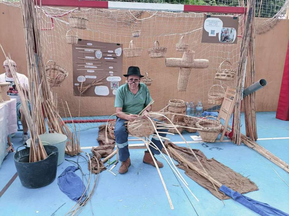 Vicente Díaz Melián