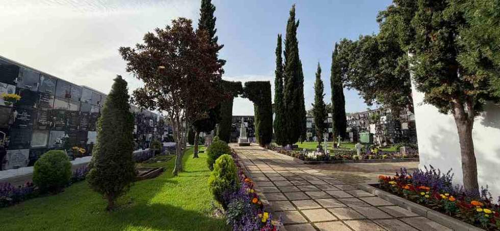 Cementerio de Moya